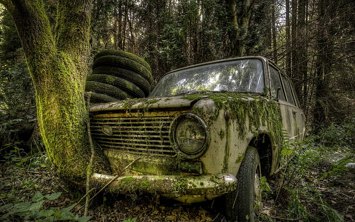 nature trees forest leaves car lada russian cars old car wreck moss tyres branch rust hdr, HD wallpaper