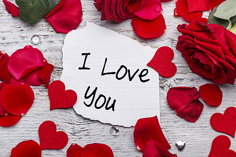 kırmızı güller, aşk, güller, yaprakları, kalpleri, seni seviyorum, kalp, romantik, sevgililer günü, HD masaüstü duvar kağıdı HD wallpaper