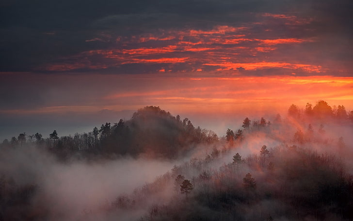 Natur, Landschaft, Nebel, Berge, Wald, Himmel, Bäume, HD-Hintergrundbild
