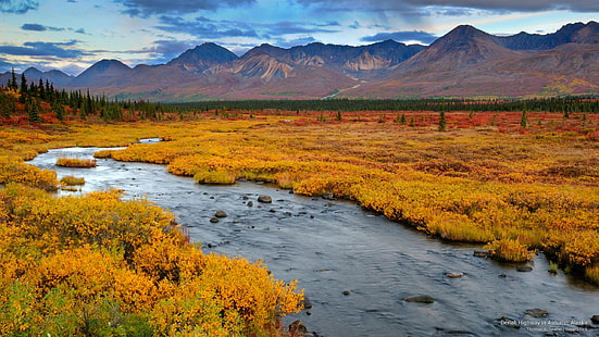 Шоссе Денали осенью, Аляска, Осень, HD обои HD wallpaper