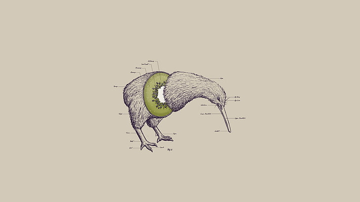 Ilustración de kiwi gris, pájaros, kiwi (animal), abstracto, animales, kiwi (fruta), obra de arte, surrealista, Fondo de pantalla HD
