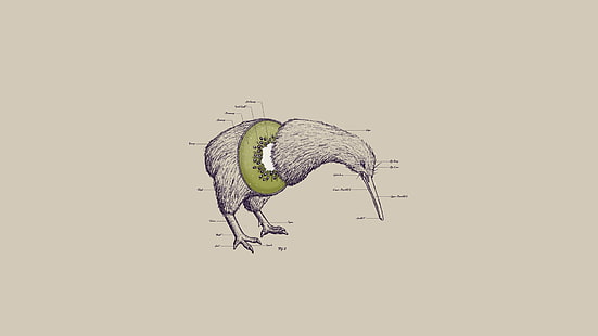 ilustração de kiwi cinza, pássaros, kiwi (animal), resumo, animais, kiwi (fruta), obras de arte, surreal, HD papel de parede HD wallpaper