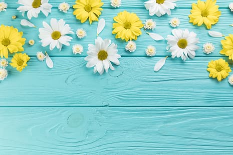  flowers, chamomile, yellow, white, wood, blue, blue background, camomile, HD wallpaper HD wallpaper