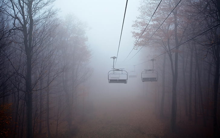 trees, cable cars, Aspen, landscape, forest, mist, fall, HD wallpaper
