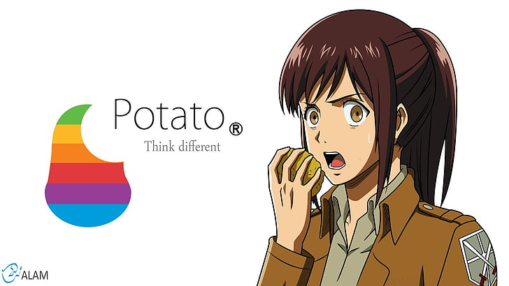 Shingeki no Kyojin, Blouse Sasha, anime, anime girls, potatoes, HD wallpaper
