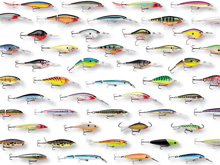 Fischangeln lebendige Farben Rapala Fischereiausrüstung 1095x821 Tiere Fisch HD Art, FISH, Angeln, HD-Hintergrundbild