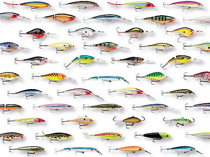 poisson pêche couleurs vives engins de pêche rapala 1095x821 Animaux Poisson HD Art, POISSON, pêche, Fond d'écran HD HD wallpaper