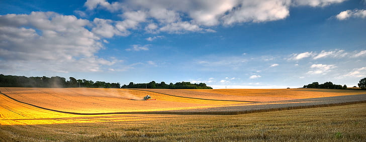 crop field panoramic photoraphy, crop, panoramic, wheat  field, sunset, summer, combine harvester, blue sky, hertfordshire, D90, pegsdon, chilterns, horizon, agriculture, rural Scene, nature, field, farm, landscape, landscaped, outdoors, sky, land, meadow, scenics, europe, HD wallpaper