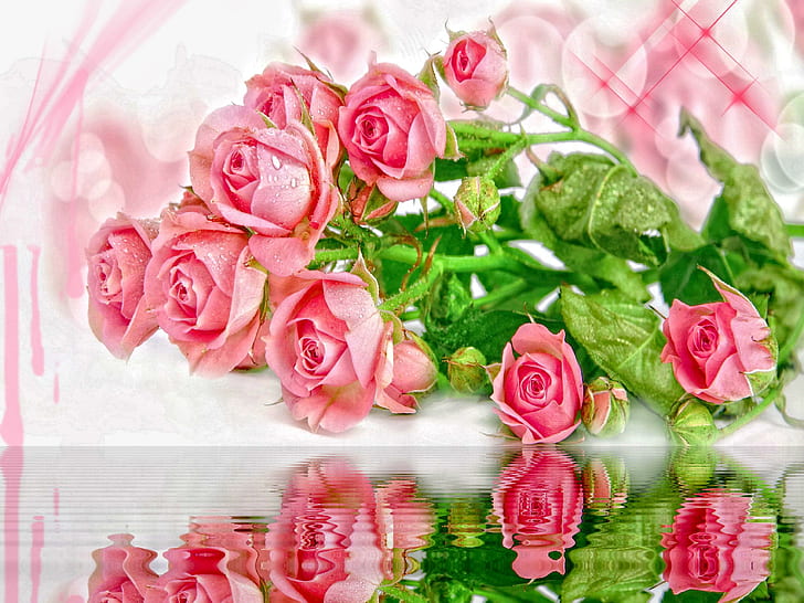 Pink Roses Reflection, lovely, delicate, reflection, roses, harmony, nice, nature, leaves, beautiful, pink, pretty, 3d and abs, HD wallpaper