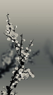 Telefon, Natur, Blumen, HD-Hintergrundbild HD wallpaper