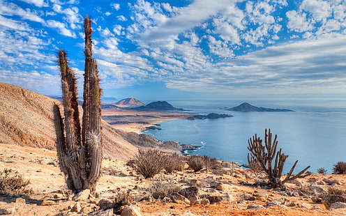 природа, пейзаж, пляж, кактус, море, холмы, облака, пустыня Атакама, побережье, Чили, национальный парк, HD обои HD wallpaper