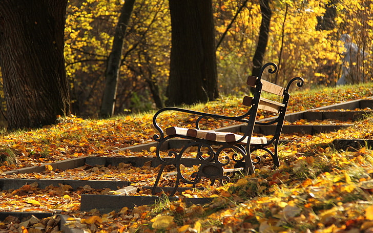 panchina in metallo nero, autunno, alberi, parco, pendenza, palcoscenico, panchina, giornata di sole, periodo dell'anno, foglie cadute, Sfondo HD