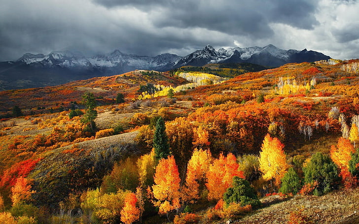 lotto di alberi di arancio e verde, fotografia di paesaggio di alberi verdi, gialli e arancioni durante il giorno, natura, paesaggio, autunno, foresta, montagne, Colorado, picco nevoso, nuvole, colorato, Sfondo HD