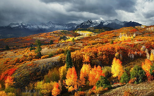pohon oranye dan hijau, fotografi lanskap pohon hijau, kuning, dan oranye pada siang hari, alam, lanskap, musim gugur, hutan, pegunungan, Colorado, puncak bersalju, awan, berwarna-warni, Wallpaper HD HD wallpaper