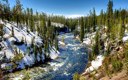 Yellowstone National Park, USA, vinter, träd, snö, Yellowstone, National, Park, USA, vinter, träd, snö, HD tapet HD wallpaper