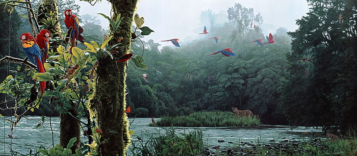 птицы, цвета, фэнтези, Полеты, лес, джунгли, пейзажи, природа, картины, попугай, реки, живописные, деревья, HD обои