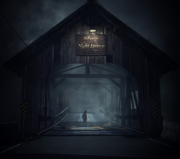 Videospiel, Alan Wake, HD-Hintergrundbild HD wallpaper