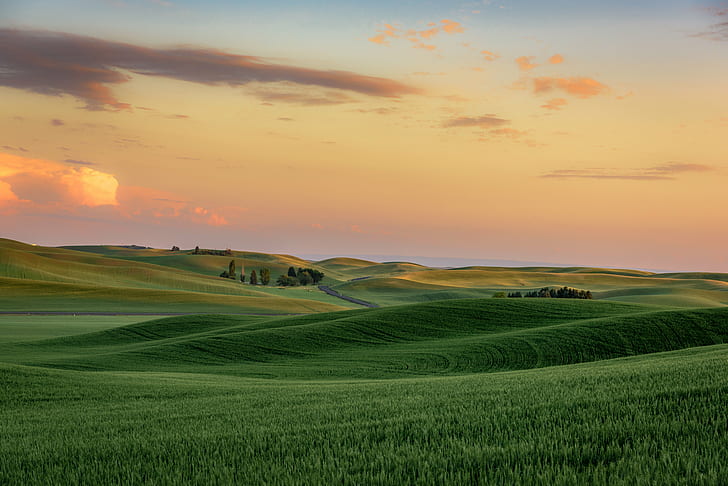 shallow focus photography of green grass field under orange sunset, Sunset, wheat fields, Palouse, Eastern Washington State, shallow focus, photography, green grass, orange, winding road, State  farm, green wheat, rolling hills, landscape, empty, no one, person, Washington State, agriculture, rural, countryside, crop, nature, blue sky, plants, wide open spaces, solitude, Eastern Washington, rural Scene, field, hill, tuscany, farm, italy, landscaped, val d'Orcia, summer, meadow, outdoors, scenics, land, europe, sky, italian Culture, non-Urban Scene, HD wallpaper