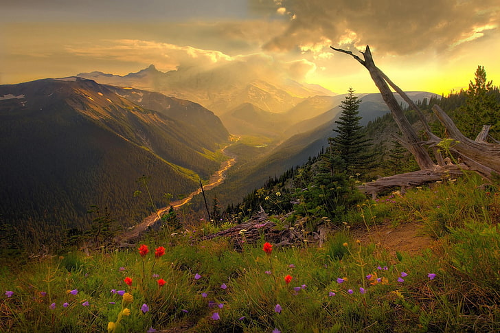 rote und lila Blüten, Landschaft, Natur, Fluss, Tal, Berge, Sonnenlicht, Wolken, HD-Hintergrundbild