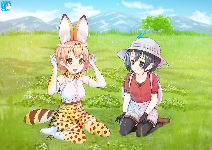 kemono friends, kaban, serval, sitting, field, grass, cat girl, animal ears, tail, Anime, HD wallpaper