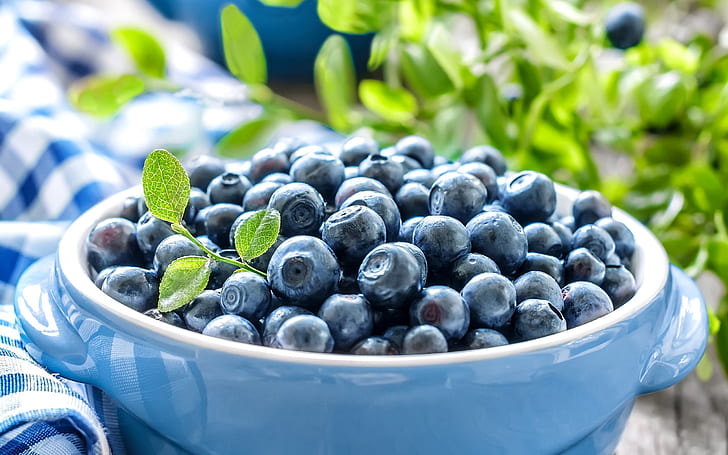 Blueberries, leaves, bowl, Blueberries, Leaves, Bowl, HD wallpaper