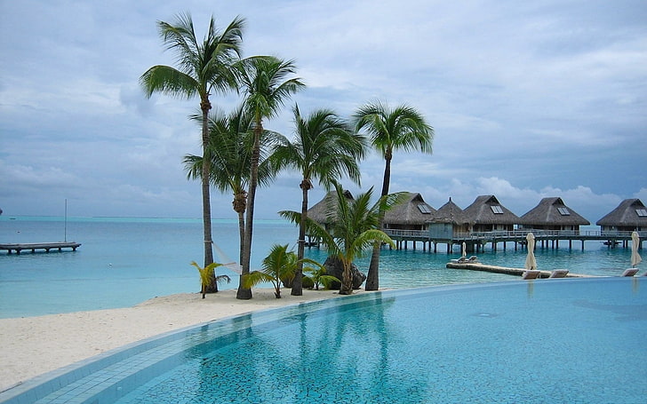 Palmen, Insel, HD-Hintergrundbild