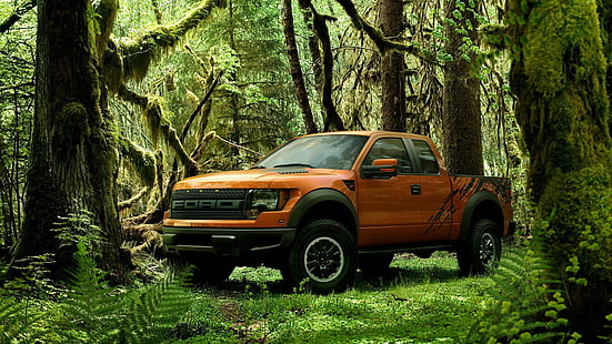 Ford F-150 Svt Raptor, forêt, ford, raptor, 1080p, f-150, 1080i, voitures, Fond d'écran HD HD wallpaper