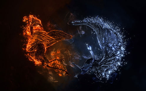 Огненный феникс против ледяного феникса, огонь, феникс, 3d и аннотация, HD обои HD wallpaper