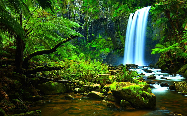 Air Terjun-Hutan-vegetasi tropis hijau-batu-pohon-pakis-lumut-3840 × 2400, Wallpaper HD