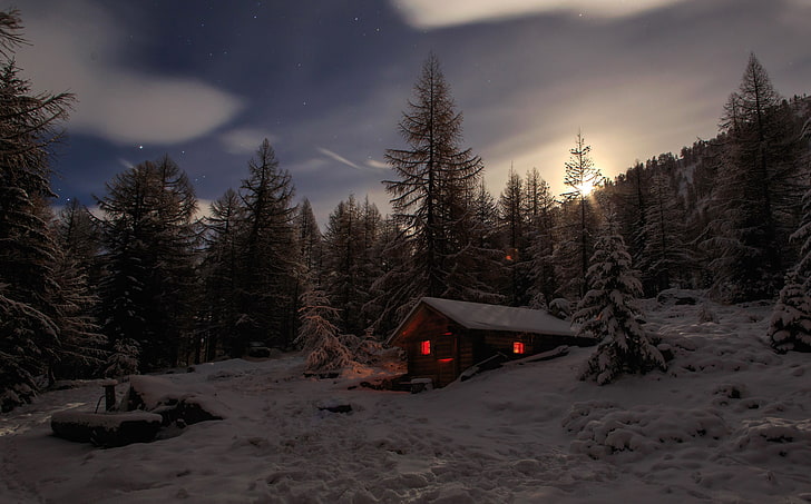 nieve, cabaña, árboles, invierno, Fondo de pantalla HD