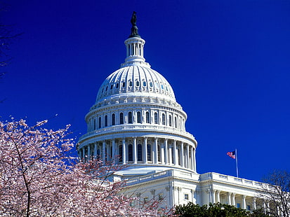 アメリカ合衆国議会議事堂、アメリカ合衆国、州、議事堂、 HDデスクトップの壁紙 HD wallpaper
