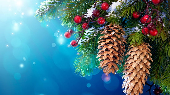 Navidad, familia del pino, árbol, abeto, conífera, cono, pino, árbol de hoja perenne, abeto, rama, adornos navideños, conos, vacaciones, Fondo de pantalla HD HD wallpaper