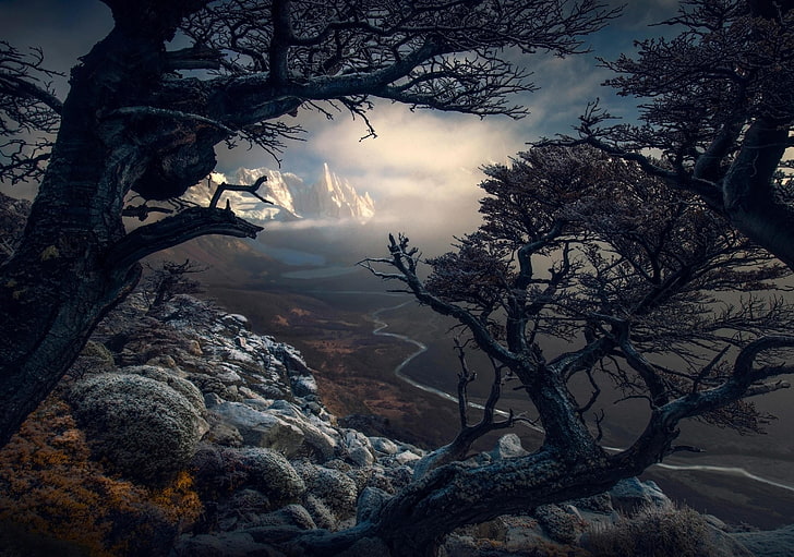 nature, trees, branch, leaves, stones, rock, mountains, valley, landscape, river, clouds, Max Rive, HD wallpaper