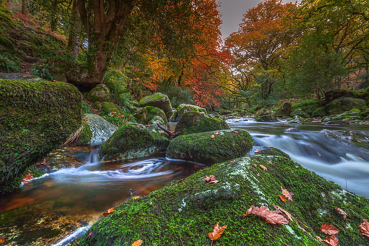 waterfalls, autumn, trees, river, stones, England, moss, Devon, Dartmoor National Park, HD wallpaper
