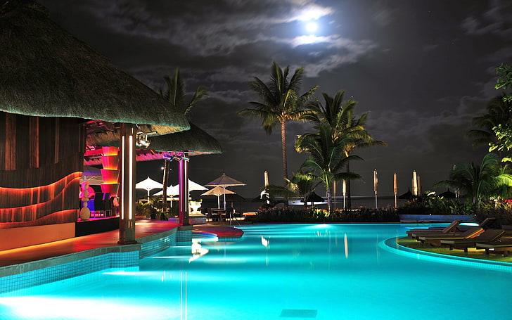 swimming pool, swimming pool, night, palm trees, water, HD wallpaper