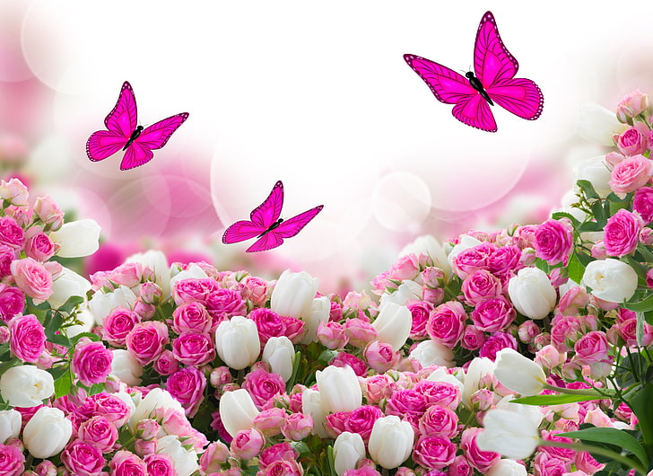 иллюстрация розовых бабочек, бабочка, цветы, розы, тюльпаны, листья, HD обои