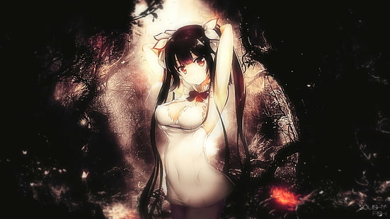 Anime, ist es falsch zu versuchen, Mädchen in einem Kerker aufzuheben ?, Hestia (DanMachi), HD-Hintergrundbild HD wallpaper