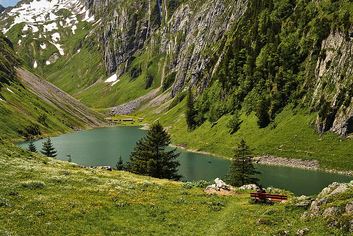 наблизо снимка водоем, заобиколен от дървета, швейцарски, швейцарски, швейцарски, пейзаж, наблизо, снимка, водоем, дървета, Швейцария, планина, природа, езеро, вода, на открито, лято, живопис, гора, зелен цвят , европейски Алпи, HD тапет