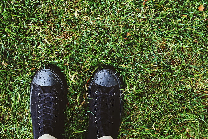 pair of black sneakers, sneakers, grass, drops, dew, HD wallpaper