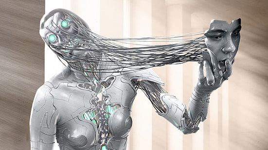 ilustração de robô, arte digital, mulheres, trabalho artístico, 3D, rosto, robô, ciborgue, crânio, metal, fios, cgi, HD papel de parede HD wallpaper
