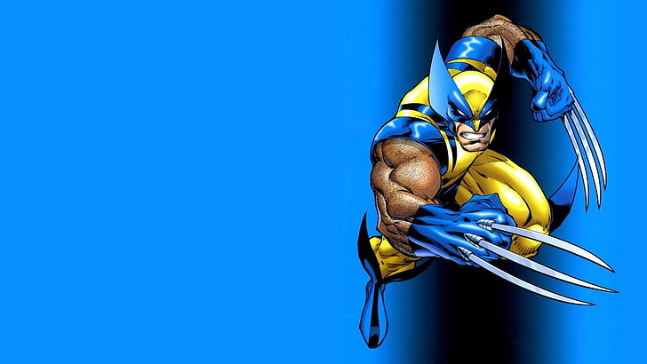 Wolverine X-Men illüstrasyon, Wolverine üzerinden, HD masaüstü duvar kağıdı