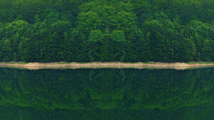 зеленые лиственные деревья, фотография, природа, лес, пейзаж, деревья, река, отражение, муссон, фотошоп, HD обои