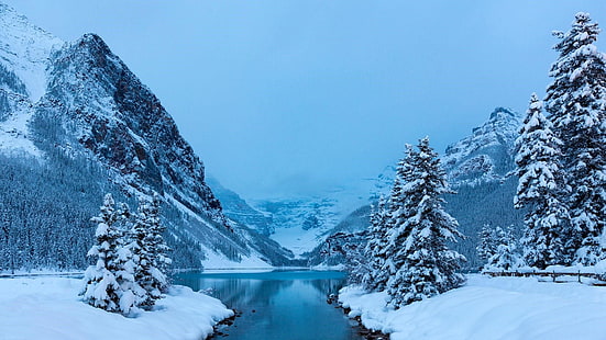 góra, alberta, kanada, jezioro louise, woda, park narodowy Banff, sosna, jodła, park narodowy, zima, mróz, pustynia, zamrażanie, niebo, drzewo, natura, śnieg, Tapety HD HD wallpaper
