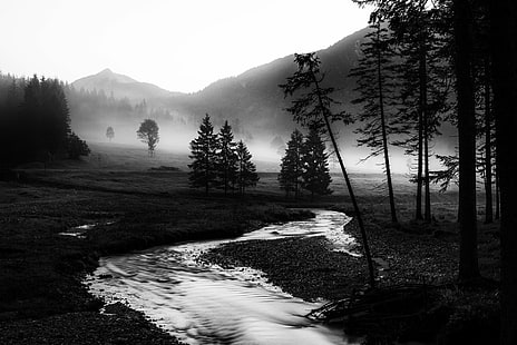 Earth, Landscape, Black & White, Fog, Nature, Stream, HD wallpaper HD wallpaper