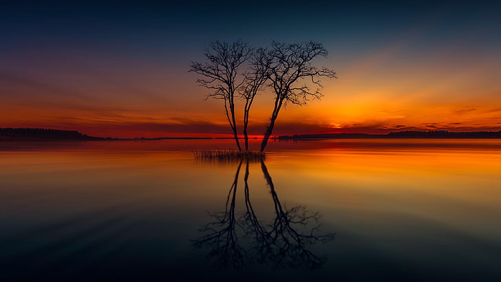 reflection, nature, sky, water, horizon, afterglow, lone tree, sunset, calm, sunrise, lonely tree, atmosphere, lake, dusk, HD wallpaper