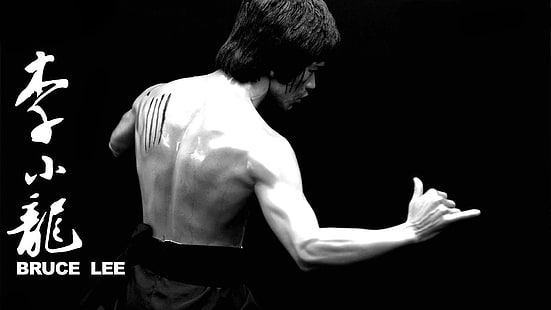 Bruce Lee-Kung Fu 40. Yıl Duvar Kağıdı 15, Bruce Lee, HD masaüstü duvar kağıdı HD wallpaper