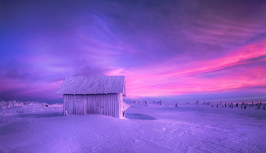 природа, пейзаж, хижа, сняг, зима, небе, Норвегия, студ, студ, ограда, борови дървета, HD тапет HD wallpaper