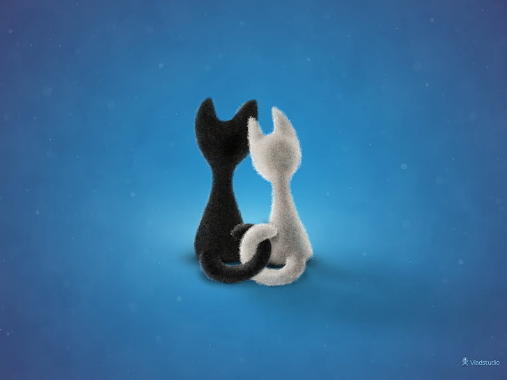 두 개의 흰색과 검은 고양이 그림, 흰색, 사랑, 고양이, 검은, HD 배경 화면