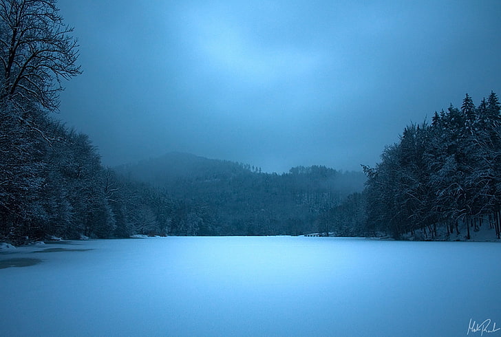 trees on ice, lake, night, frozen, surface, ice, blue, HD wallpaper