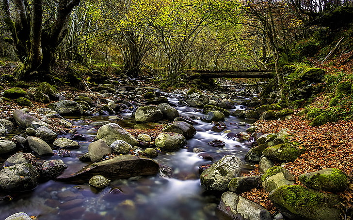 Чистый лесной ручей камни с зеленым мхом красные листья упавшее дерево деревянный мост осень обои Hd, HD обои
